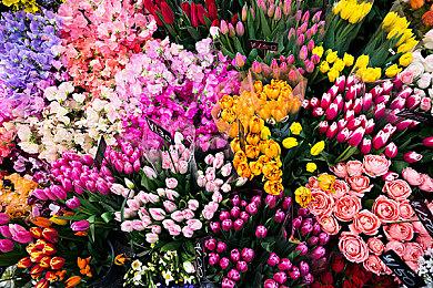 《足球经理 2022 》现已正式上线