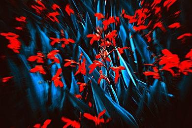 新一期Fami通周销榜 《宝可梦：朱＆紫》五连冠